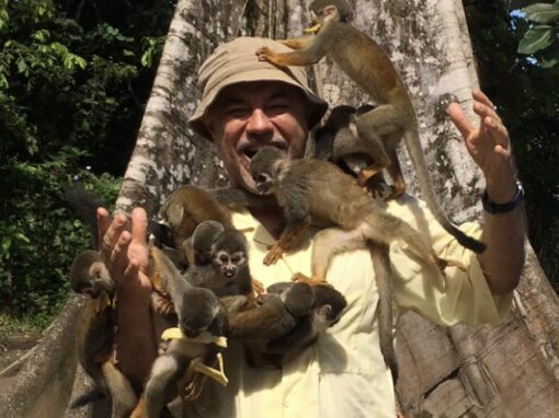 Acossado por micos-de-cheiro na ilha dos macacos à margem do rio Amazonas em Letícia, Colômbia