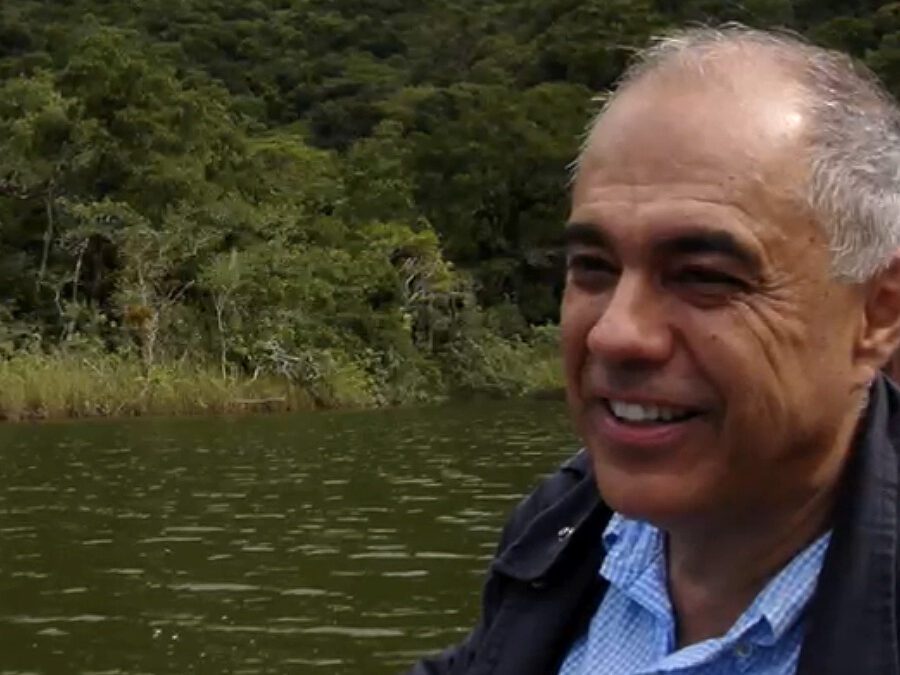 Pantanal